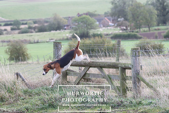 Hurowth Hunt 84