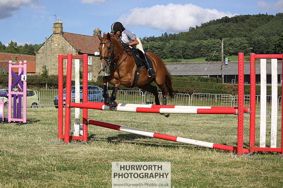 2013 Osmotherley Show 390