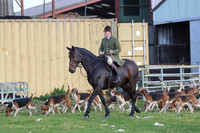 Hounds, hunt team & trail layers
