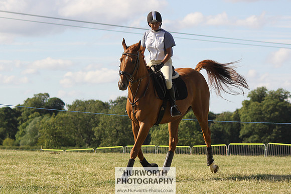2013 Osmotherley Show 377