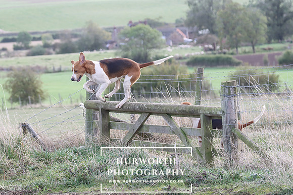 Hurowth Hunt 71