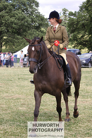2013 Osmotherley Show 254