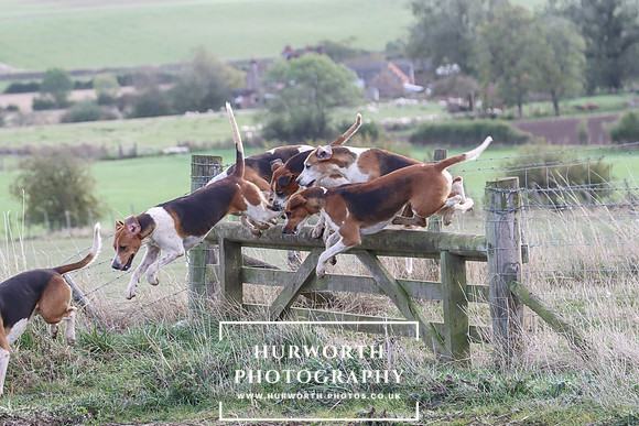 Hurowth Hunt 59