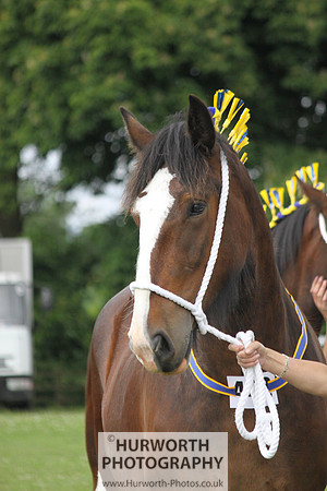 North Yorkshire County Show 123