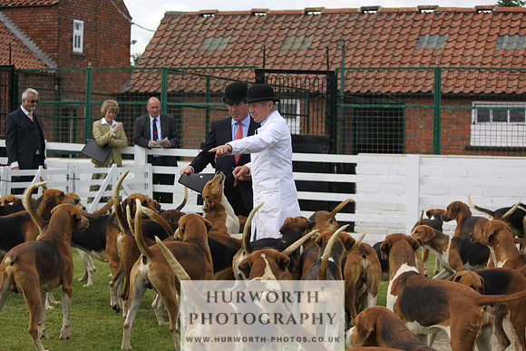Hurworth Hunt Puppy Show 138