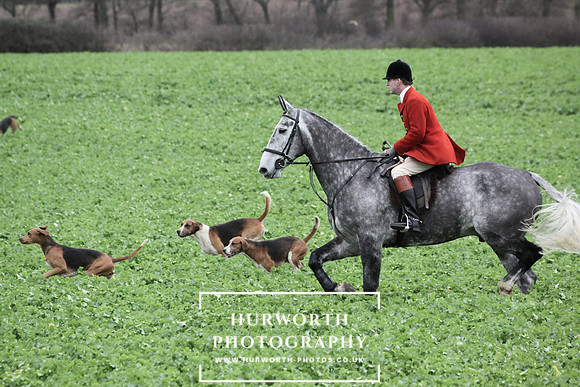 Hurworth Hunt 066