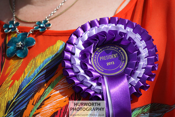 2013 Osmotherley Show 172