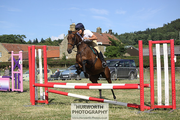 2013 Osmotherley Show 356