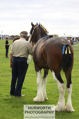 North Yorkshire County Show 087