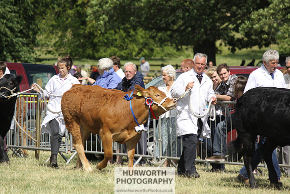 2013 Osmotherley Show 196