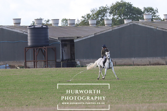 Hurowth Hunt 3