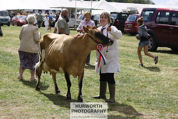 2013 Osmotherley Show 106