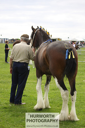 North Yorkshire County Show 088