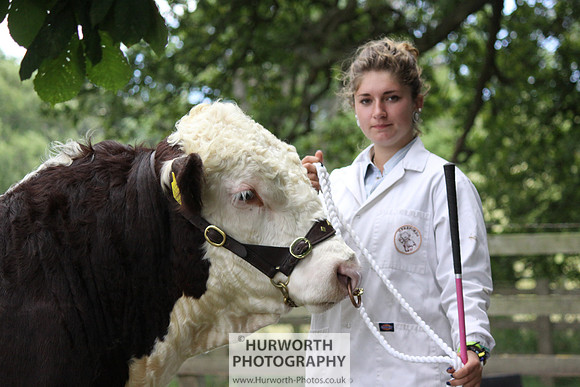 2013 Osmotherley Show 110