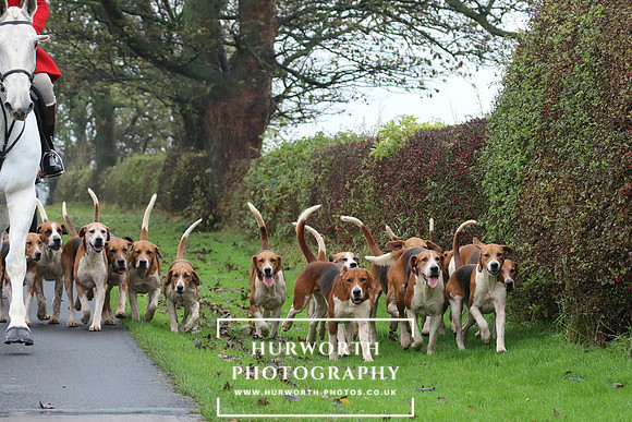 Hurworth Hunt  17