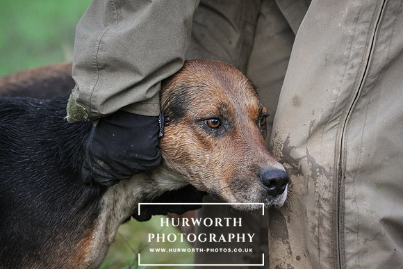 Hurworth Hunt 181