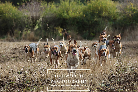 Hurworth Hunt 10