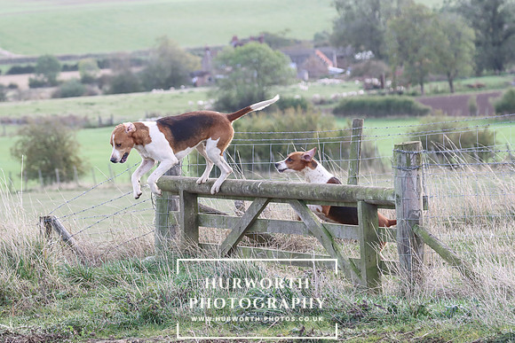 Hurowth Hunt 72