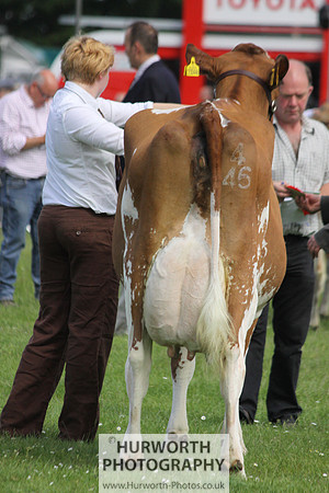 North Yorkshire County Show 041