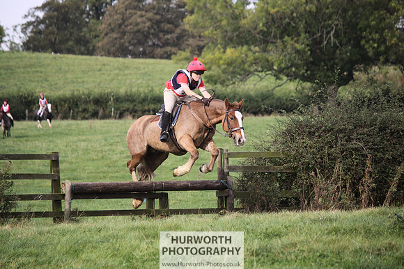 Hurworth Bilsdale Hedge Hop 101