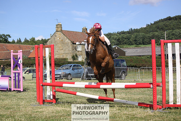 2013 Osmotherley Show 359