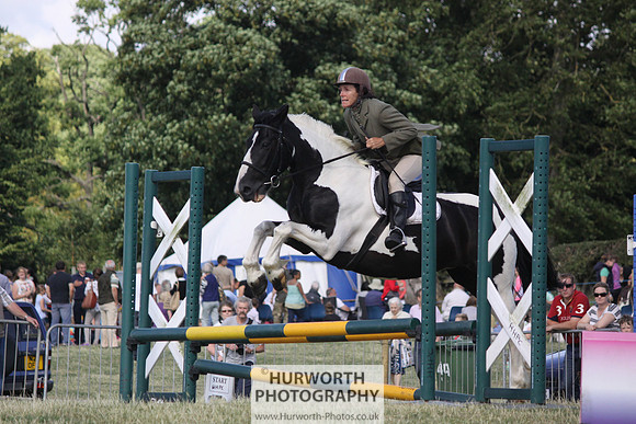 2013 Osmotherley Show 313