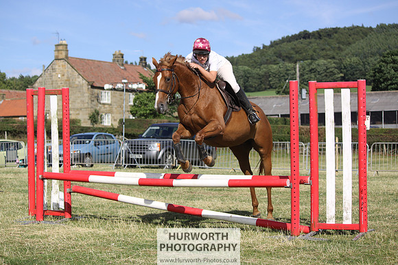 2013 Osmotherley Show 339