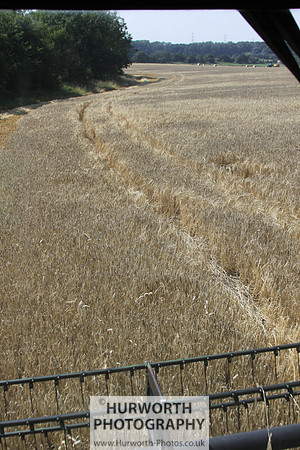 Countryside 050