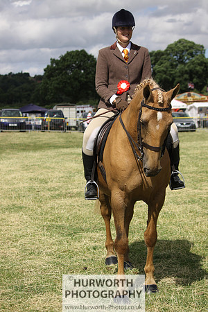 2013 Osmotherley Show 251