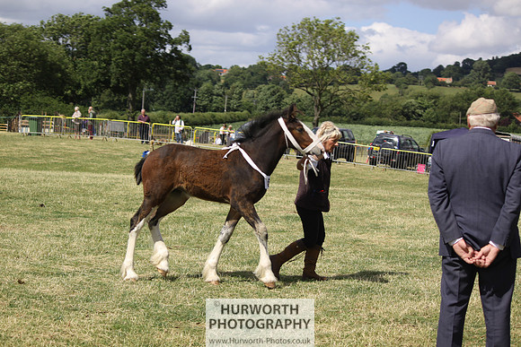 2013 Osmotherley Show 165