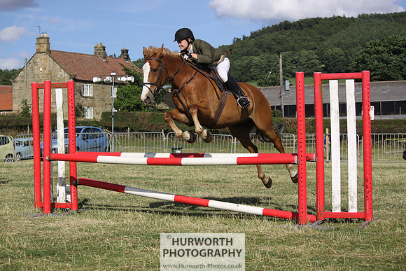 2013 Osmotherley Show 385