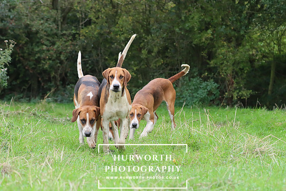 Hurworth Hunt 5
