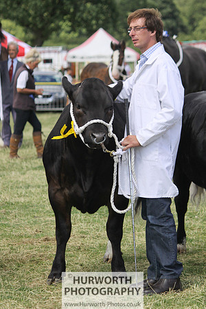 2013 Osmotherley Show 207