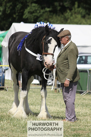 2013 Osmotherley Show 181