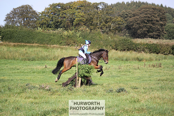 Hurworth Bilsdale Hedge Hop 333