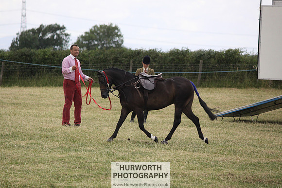 2013 Osmotherley Show 035