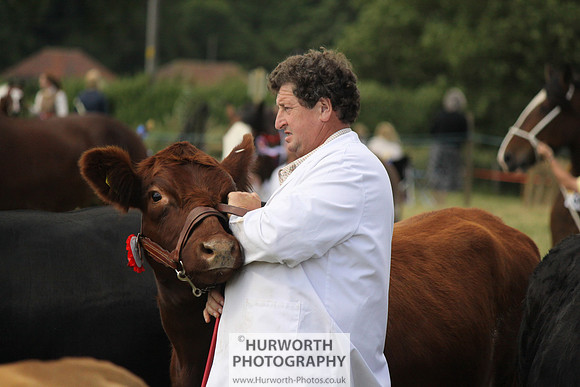 2013 Osmotherley Show 211
