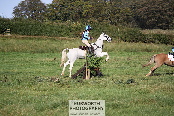 Hurworth Bilsdale Hedge Hop 339