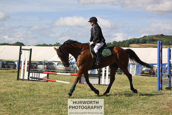 2013 Osmotherley Show 311