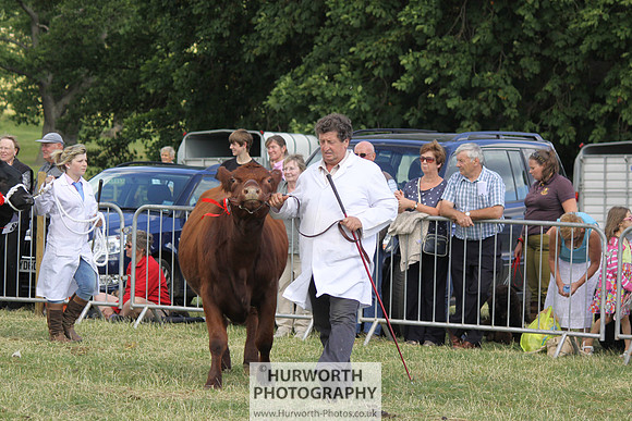 2013 Osmotherley Show 198