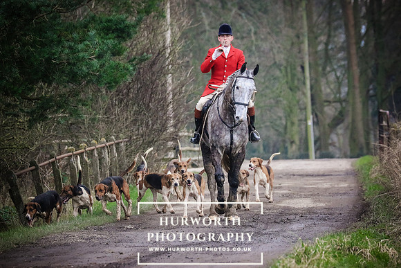 Hurworth Hunt 373