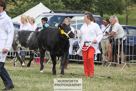 2013 Osmotherley Show 205