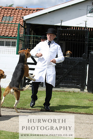 Hurworth Hunt Puppy Show 010
