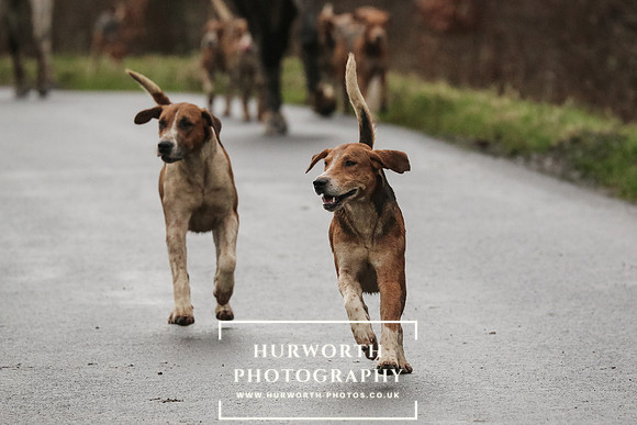 Hurworth Hunt 194