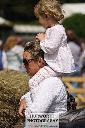 North Yorkshire County Show 169