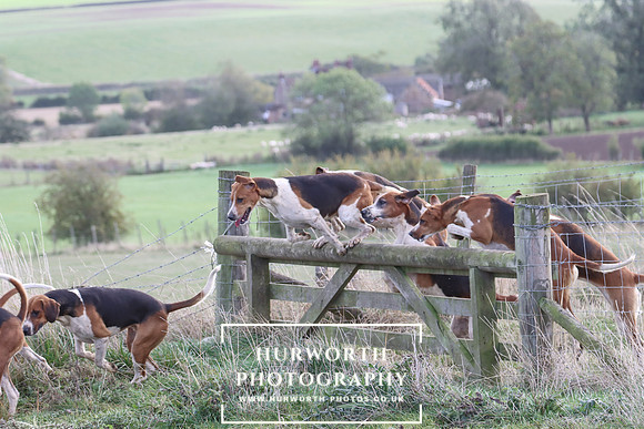 Hurowth Hunt 57