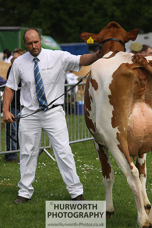 North Yorkshire County Show 038