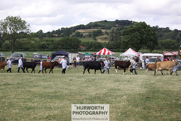 2013 Osmotherley Show 238