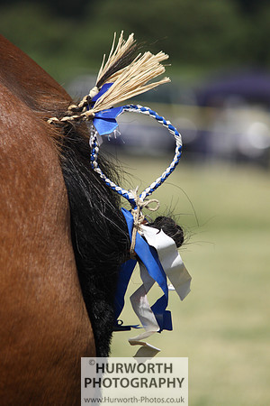 2013 Osmotherley Show 154