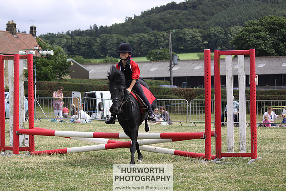 2013 Osmotherley Show 018